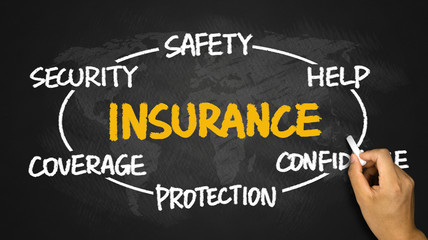 insurance circle diagram hand drawn on blackboard