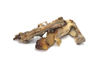 scarto ossa di pollo