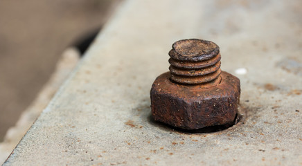 Nut on the cement floor