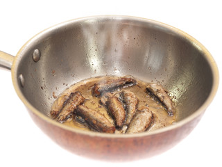 sprats