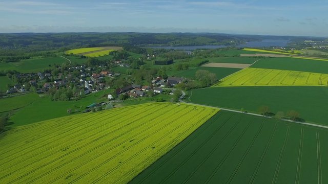 Luftaufnahme Rapsfeld, M&ouml;hnesee