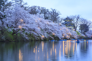 高田城と桜のライトアップ　新潟県上越市