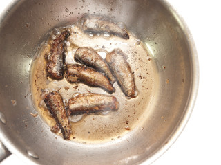 sprats