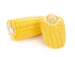 Corn isolated on a white background