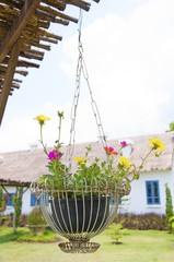 Hanging flower pots for home decor