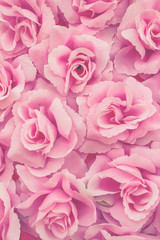fabric  rose