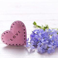 Background with  blue  flowers and  pink decorative heart