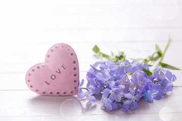 Background with  blue  flowers and  pink decorative heart