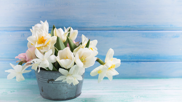 Background with fresh narcissus and tulips in aged bowl