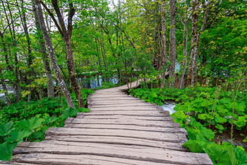Boardwalk in the park Plitvice lakes