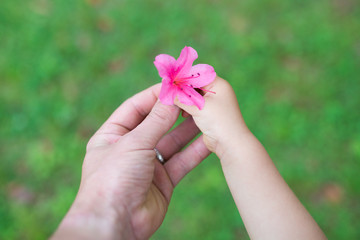 ツツジの花を持つ親子の手