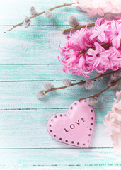 Background with fresh flowers hyacinths and decorative heart