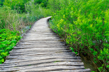 Boardwalk in the park Plitvice lakes