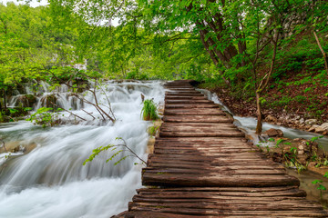 Wooden tourist path in Plitvice lakes national park