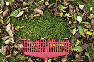 Gartenarbeit - Blätter Fegen