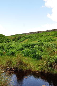 burbage valley
