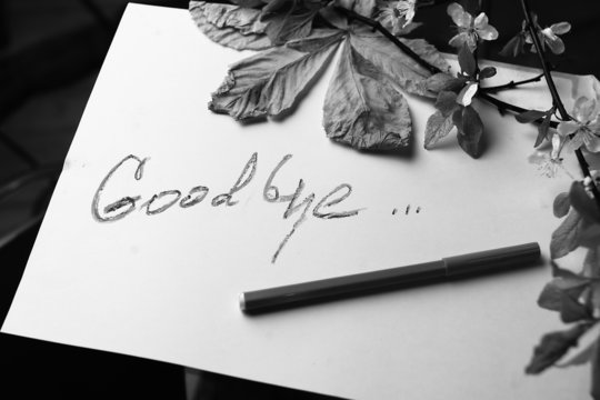 Good Bye Message
