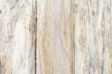 Old wood background