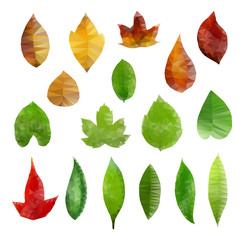 Obraz premium Low-Poly Leaves