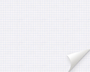 Curve Square Paper Background For School 