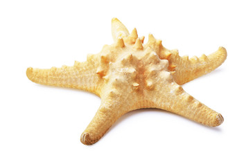 Yellow starfish