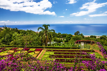 Botanical Garden Monte, Funchal, Madeira, Portugal