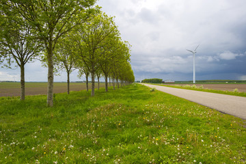 Country road through a rural landscape in spring