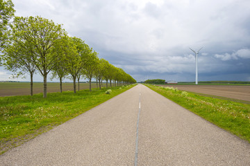 Fototapeta na wymiar Country road through a rural landscape in spring