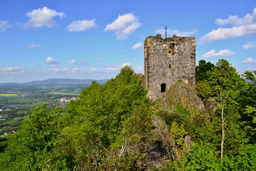Photo sur Plexiglas Rudnes Tower of castle ruins on a hill