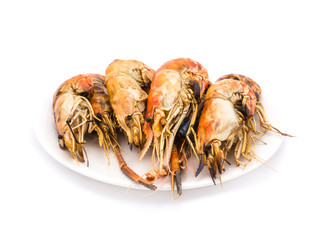 Grilled shrimps on the white plate in white background.