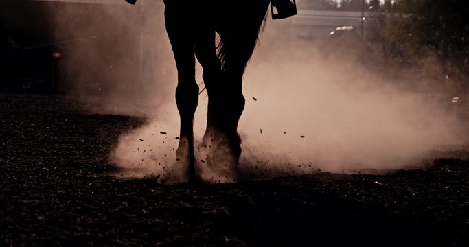 Beautiful girl  riding a horse against sun 5