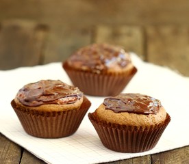 Chocolate cupcakes
