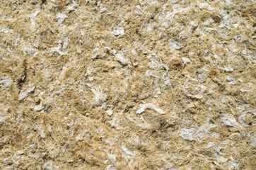 Dry yellow algae and seaweed