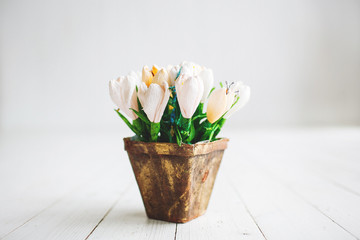 Beautiful white flowers in pot on wooden background