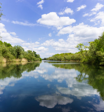 Altrhein bei Russheim Dettenheim