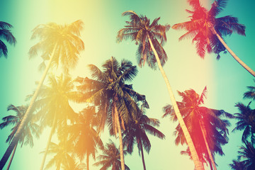 Palm trees over sky on beach, vintage stylized photo with yellow and red light leaks