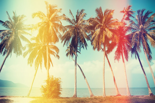 Palm trees on the beach with old film light leaks