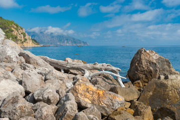 Wild Black sea shore at spring season