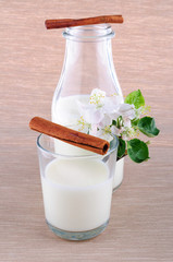 Milk in a bottle and cinnamon sticks