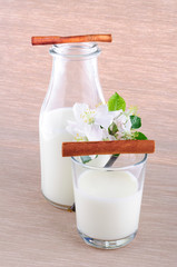 Milk in a bottle and cinnamon sticks 