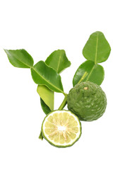 bergamot kaffir lime leaves herb fresh ingredient isolated