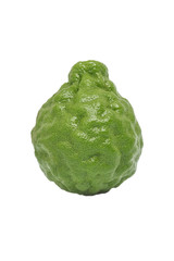 bergamot herb fresh ingredient food tom yam isolated
