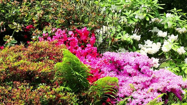 Prachtvoller Garten