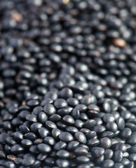 Dry black lentil beluga, macro, selective focus