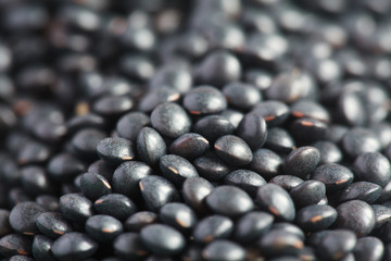Dry black lentil beluga, macro, selective focus
