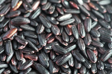 Organic Black Nerone Rice background,  selective focus