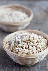 Green buckwheat sprouts in a bowl, close up, selective focus