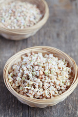 Green buckwheat sprouts in a bowl, close up, selective focus