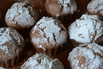 muffin-yummy
