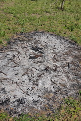 Trace de feu sur le sol. Cercle de cendres.